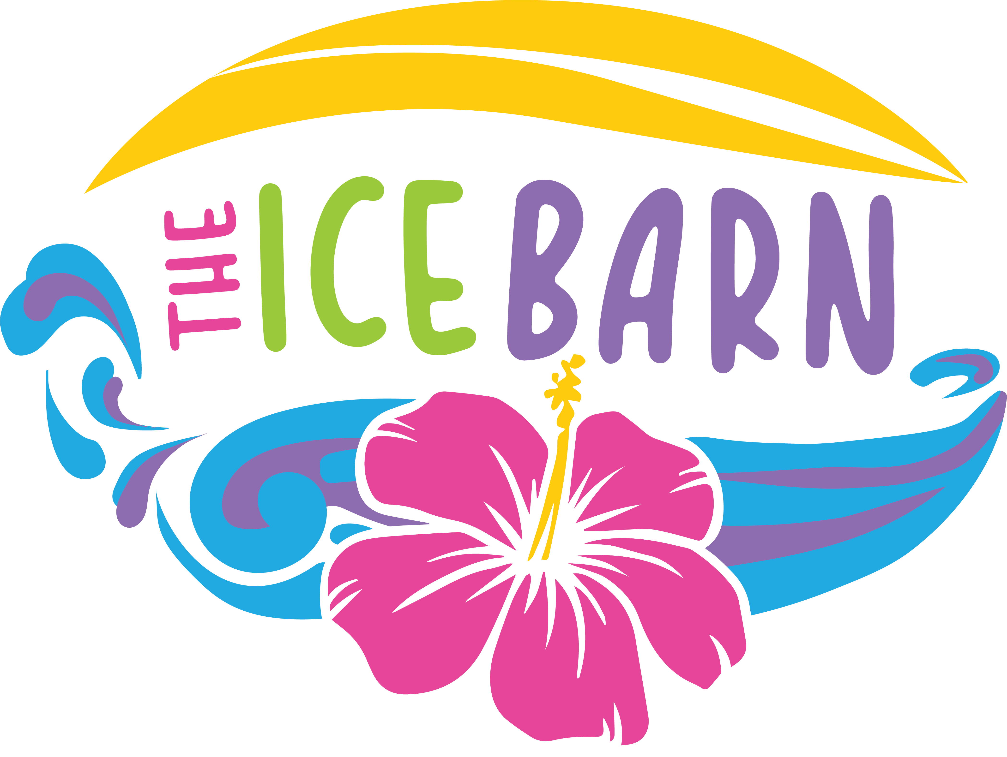 The Ice Barn Online